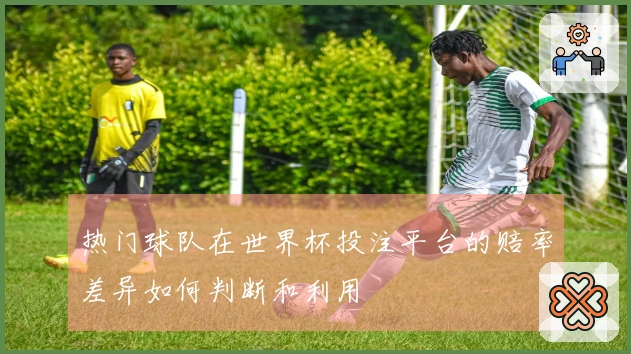热门球队在世界杯投注平台的赔率差异如何判断和利用