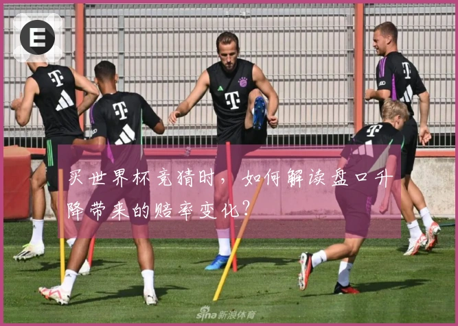 买世界杯竞猜时，如何解读盘口升降带来的赔率变化？