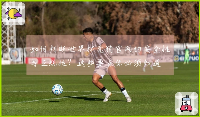 如何判断世界杯竞猜官网的安全性与正规性？这些要点你必须知道