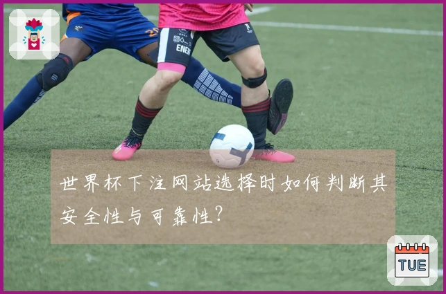 世界杯下注网站选择时如何判断其安全性与可靠性？