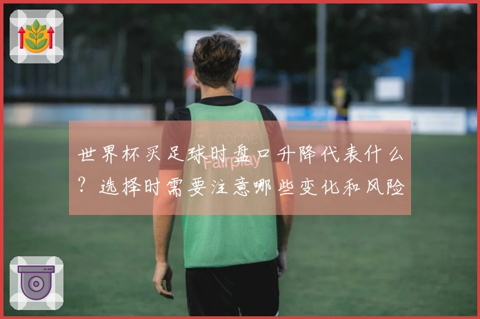世界杯买足球时盘口升降代表什么？选择时需要注意哪些变化和风险