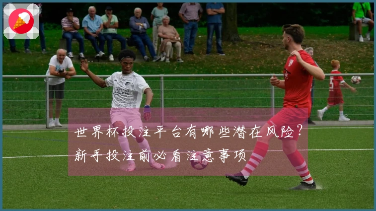 世界杯投注平台有哪些潜在风险？新手投注前必看注意事项