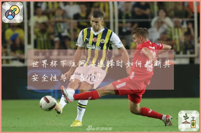世界杯下注网站选择时如何判断其安全性与可靠性？