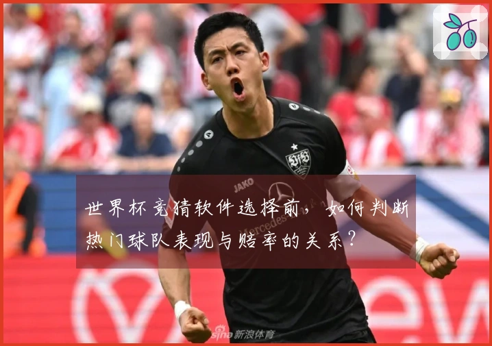 世界杯竞猜软件选择前，如何判断热门球队表现与赔率的关系？