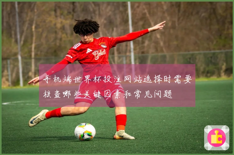 手机端世界杯投注网站选择时需要核查哪些关键因素和常见问题