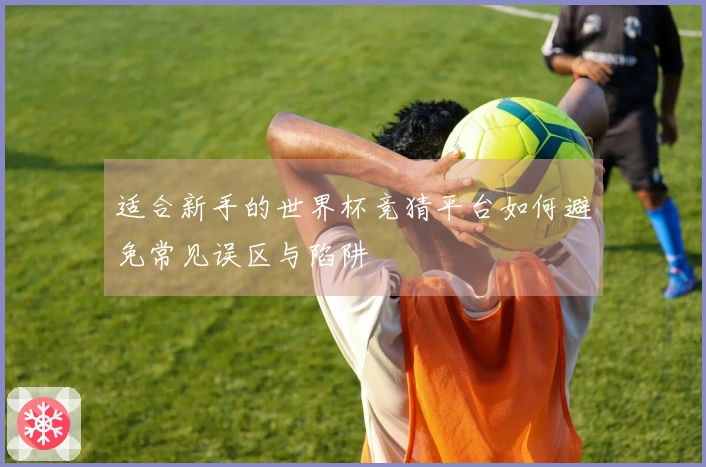 适合新手的世界杯竞猜平台如何避免常见误区与陷阱