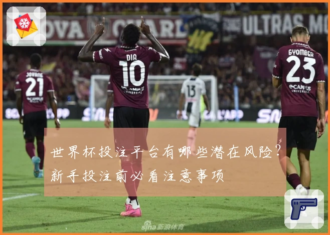 世界杯投注平台有哪些潜在风险？新手投注前必看注意事项