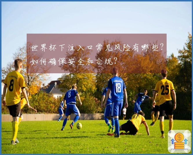 世界杯下注入口常见风险有哪些？如何确保安全和合规？
