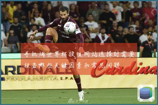 手机端世界杯投注网站选择时需要核查哪些关键因素和常见问题