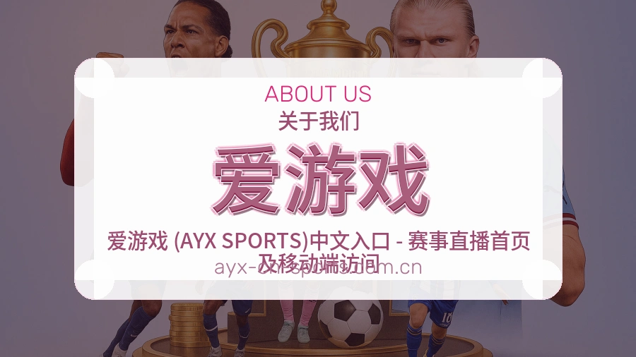 爱游戏关于我们